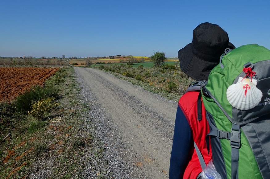 Walking Sacred Paths