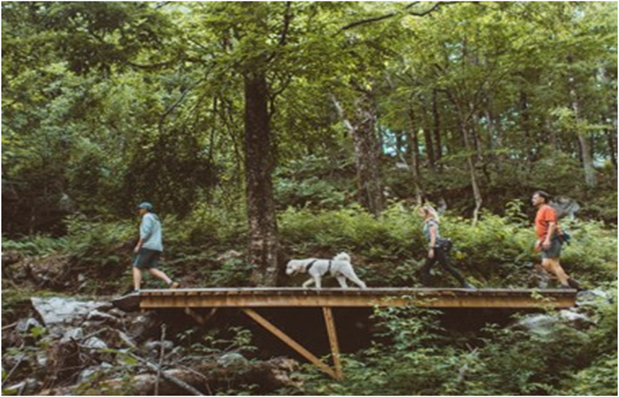 Bromont activité